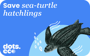 Dots.eco - Save a Sea-Turtle Hatchling Gift Card
